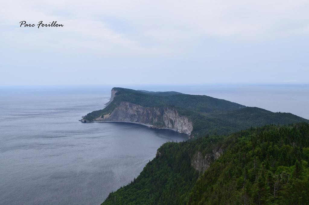 Les Cabines Sur Mer Cap-des-Rosiers エクステリア 写真