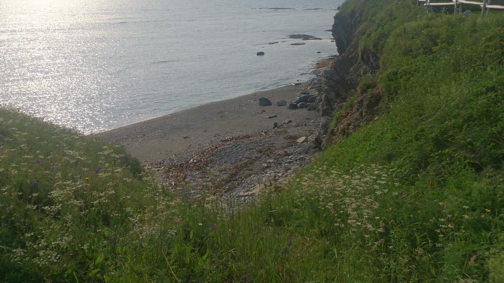 Les Cabines Sur Mer Cap-des-Rosiers エクステリア 写真