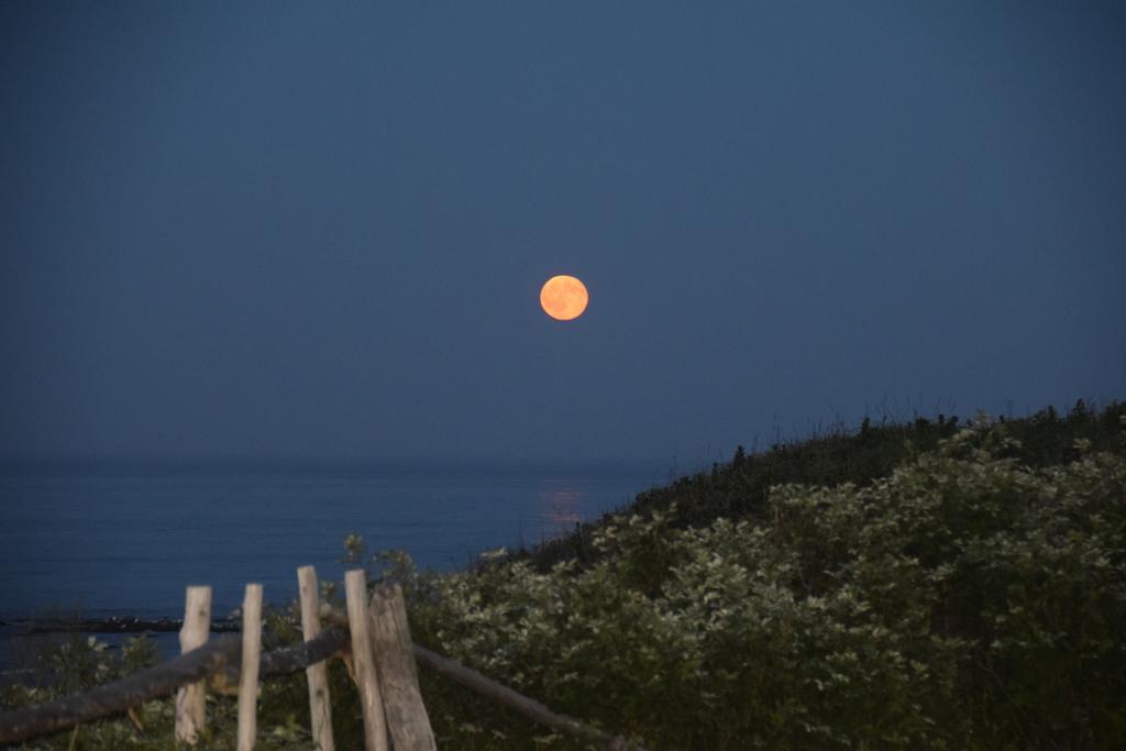 Les Cabines Sur Mer Cap-des-Rosiers エクステリア 写真
