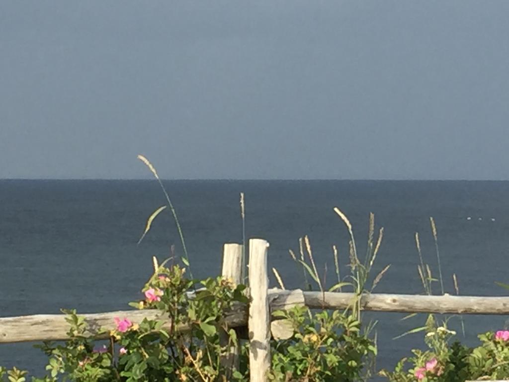 Les Cabines Sur Mer Cap-des-Rosiers エクステリア 写真